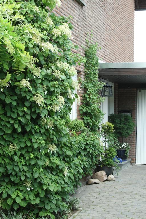 Ferienwohnung Illerhues Ascheberg  Pokój zdjęcie